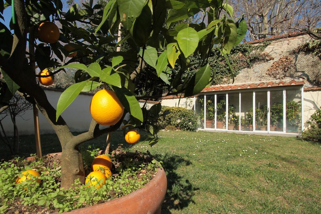 פירנצה Il Diospero B&B מראה חיצוני תמונה